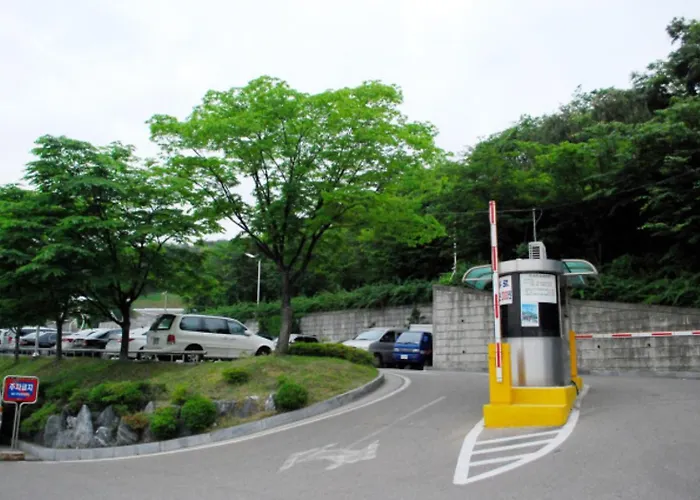 Ziip Hills 3
